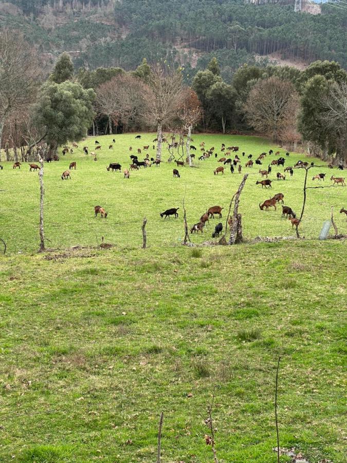 Casa D' Alem Turismo E Natureza - Refugio Do Valouto Torneiro Dış mekan fotoğraf
