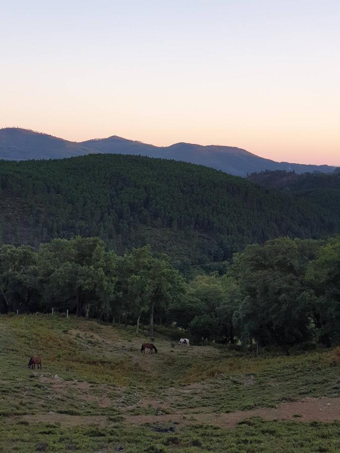 Casa D' Alem Turismo E Natureza - Refugio Do Valouto Torneiro Dış mekan fotoğraf